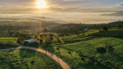 can luu y gi de dau tu mua dat lam ha it rui ro